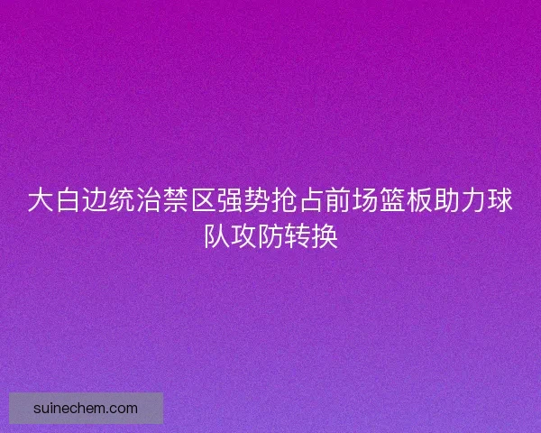 大白边统治禁区强势抢占前场篮板助力球队攻防转换